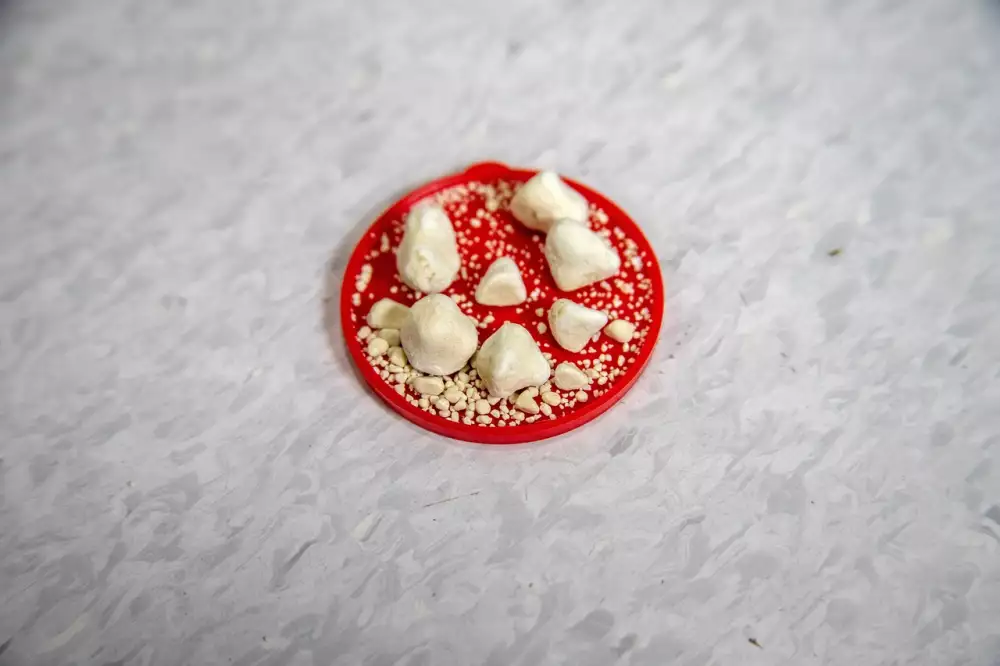 Zánět Močových Cest Příznaky