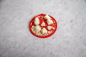 Zánět Močových Cest Příznaky